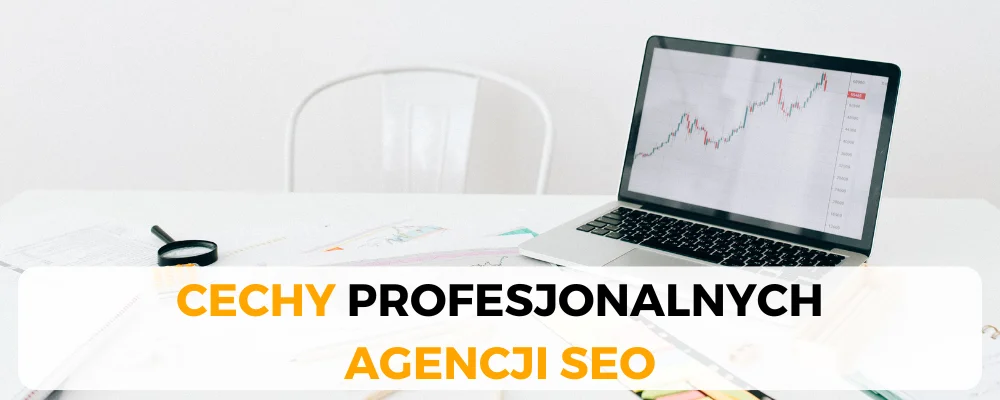 Agencja SEO